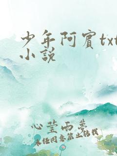 少年阿宾txt小说