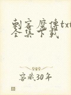 刺客魔传txt全集下载
