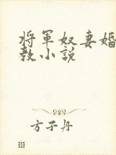 将军奴妻婚房调教小说