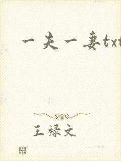 一夫一妻txt