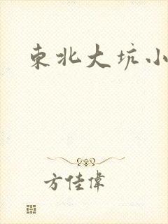 东北大坑小说