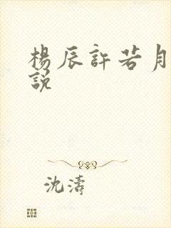 杨辰许若月的小说