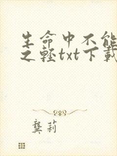 生命中不能承受之轻txt下载