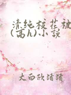 清纯校花被调教(高h)小说