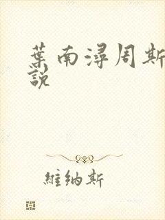 叶南浔周斯年小说