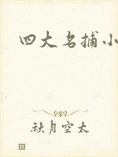 四大名捕小说