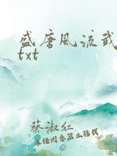 盛唐风流武状元txt