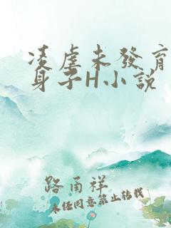 凌虐未发育的小身子H小说