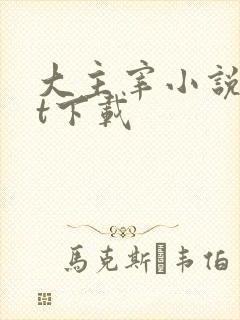 大主宰小说txt下载