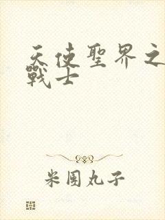 天使圣界之神之战士