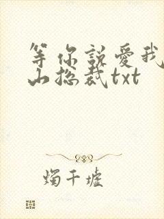 等你说爱我之冰山总裁txt