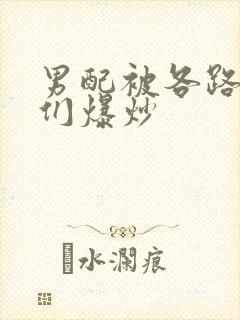 男配被各路大佬们爆炒