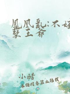 凤凰乱:不嫁妖孽王爷