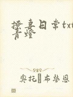 撩妻日常txt青灯