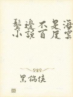 鬓边不是海棠红小说百度云