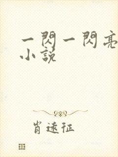 一闪一闪亮星星小说