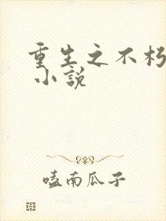 重生之不朽传奇 小说