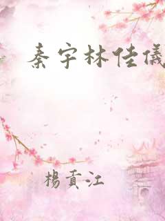 秦宇林佳仪小说