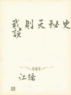 武则天秘史 小说