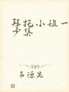 拜托小姐一共多少集