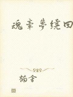 魂牵梦绕回大清