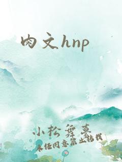 肉文hnp