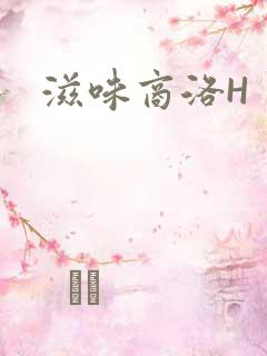 滋味商洛H
