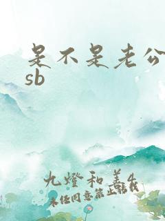 是不是老公的小sb