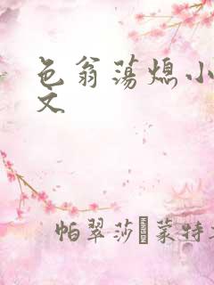 色翁荡熄小说全文