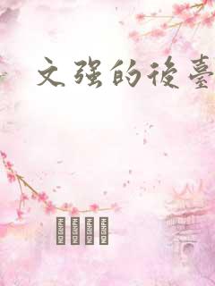 文强的后台是谁