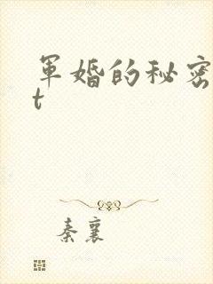 军婚的秘密txt