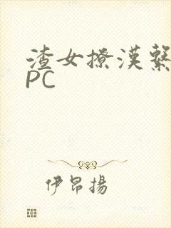 渣女撩汉系统NPC