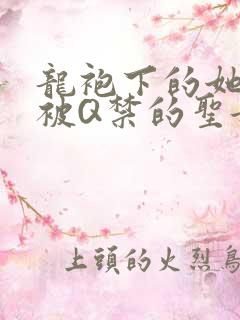 龙袍下的她皇嫂被Q禁的圣女