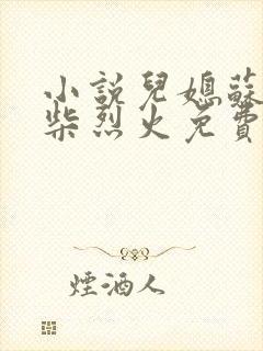 小说儿媳苏玥干柴烈火免费阅读