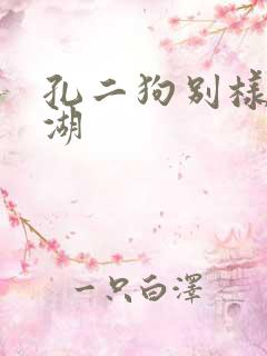 孔二狗别样的江湖