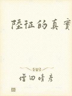 陆征的真实身份