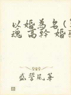 以婚为名 (军魂 高干 婚恋)