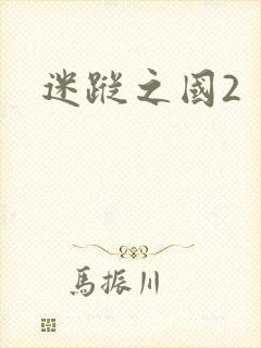 迷踪之国2