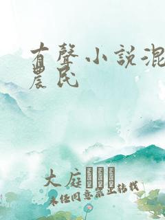 有声小说混世小农民