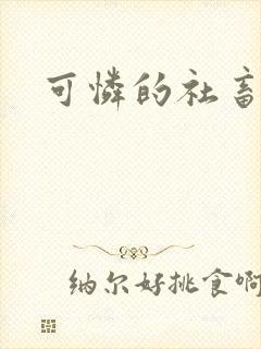 可怜的社畜小说