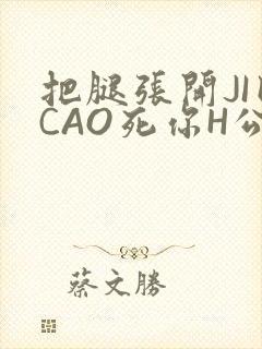 把腿张开JI巴CAO死你H公园