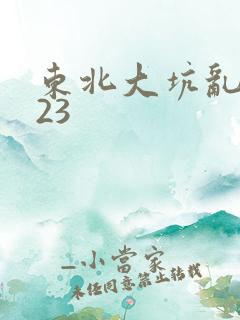 东北大坑乱1—23