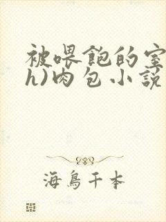 被喂饱的室友(h)肉包小说