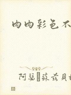 肉肉彩色不遮挡