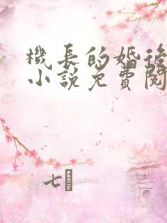 机长的婚后日常小说免费阅读