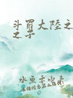 斗罗大陆之七怪之子