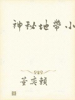 神秘地带小说