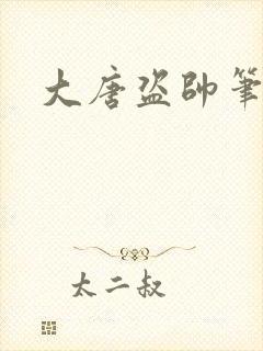 大唐盗帅笔趣阁
