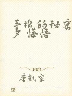 手机的秘密 七夕 悔悟