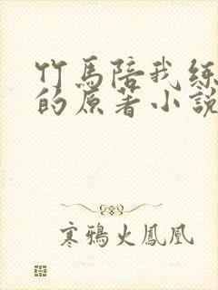 竹马陪我练技术的原著小说